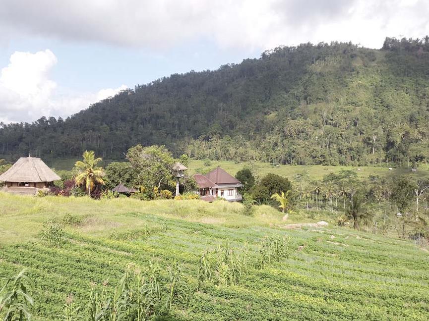 Embang Homestay ซิเดอมัน ภายนอก รูปภาพ