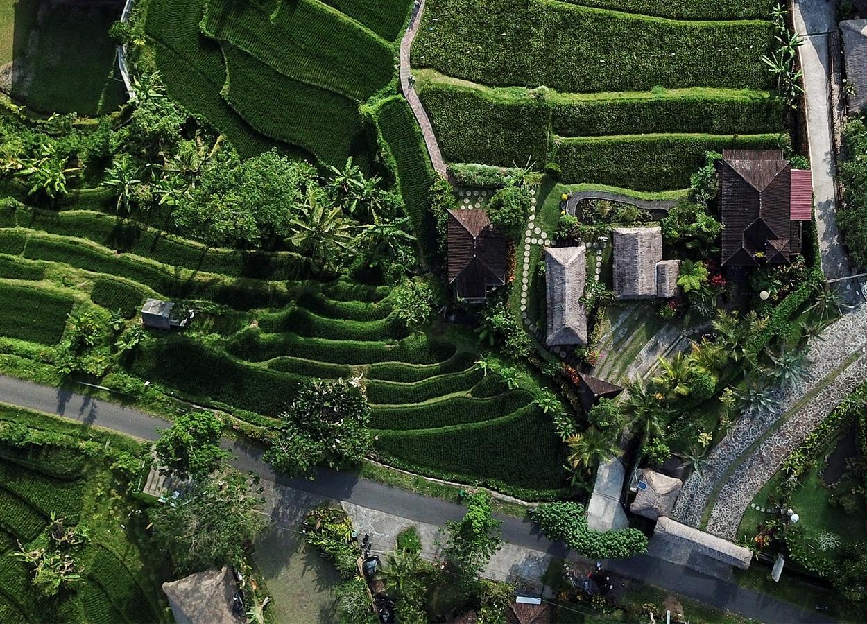 Embang Homestay ซิเดอมัน ภายนอก รูปภาพ