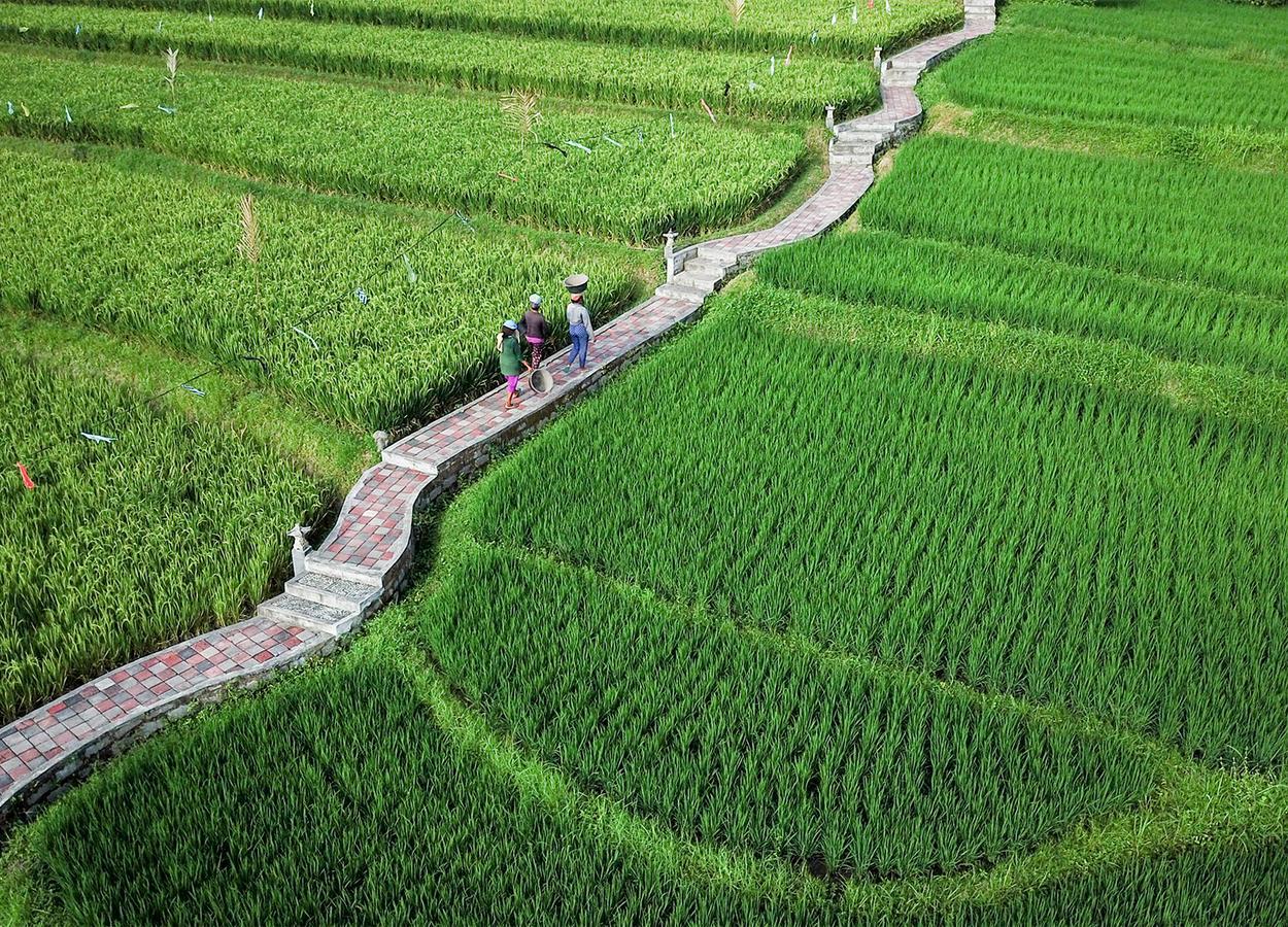 Embang Homestay ซิเดอมัน ภายนอก รูปภาพ